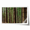 Rolled print of Kauai landscape with lush greenery and waterfalls, in soft green and blue tones.