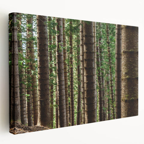 Scenic view of Kauai's coastline on a large stretched canvas, featuring a palette of deep blues and greens.