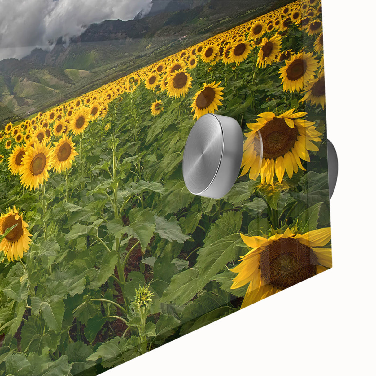 Large abstract acrylic print of a Maui landscape in earth tones, ideal for dining room art.