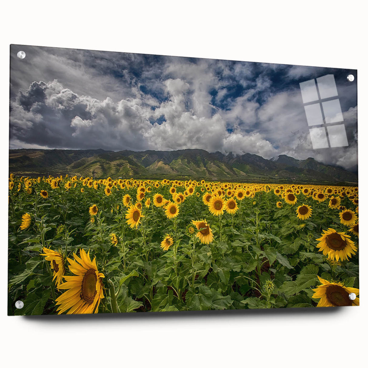 Acrylic glass print of a large abstract depiction of Maui's landscape in vibrant greens and blues.