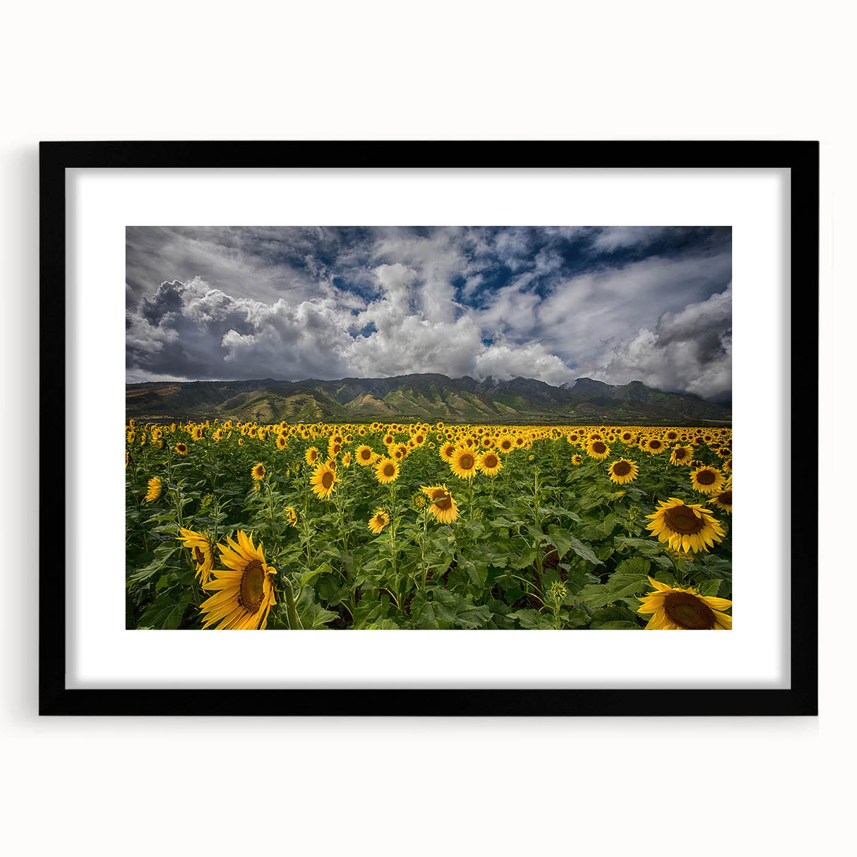 Colorful abstract art print of a Maui landscape in vibrant hues on a large textured canvas, framed in black.
