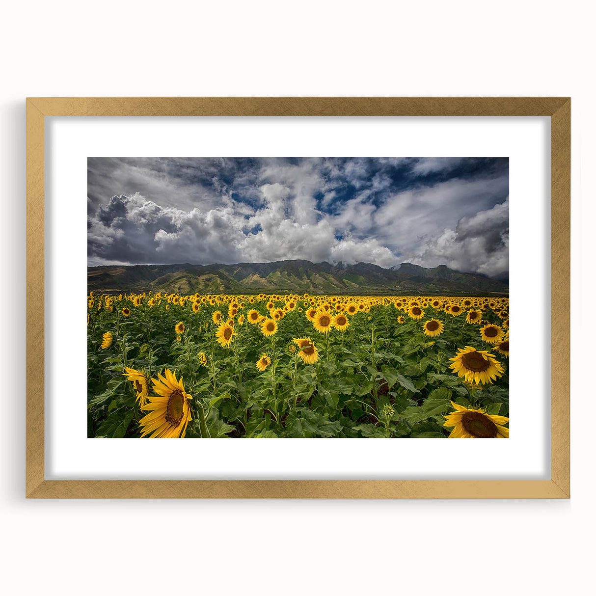 Extra large abstract art print of Maui scenery in textured style, featuring blue and green hues on a gold-framed canvas.