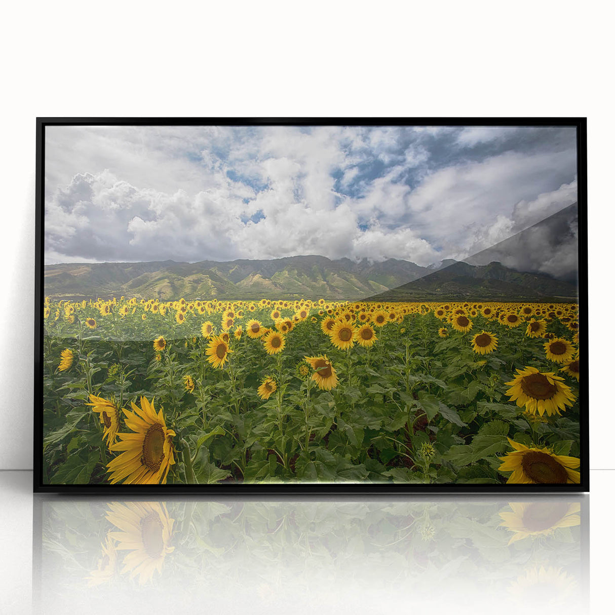 Large abstract wall art featuring a Maui, Hawaii scenery in muted earth tones on a framed acrylic.