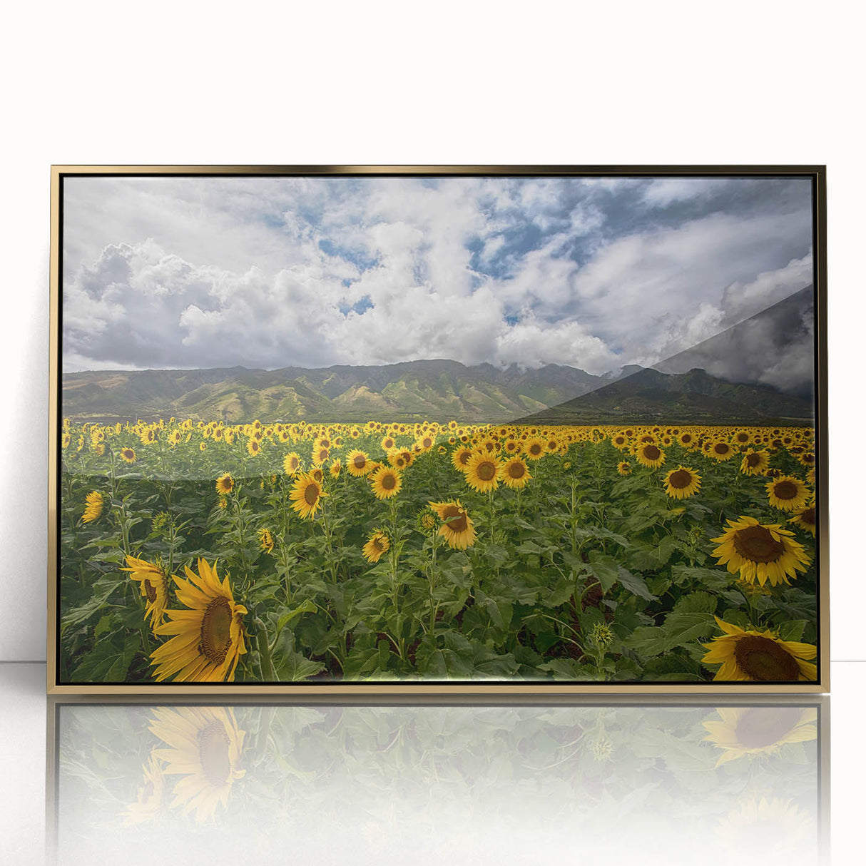 Mid-century modernist large art print of a Hawaiian landscape on gold-framed acrylic, ideal for modern art wall decor.