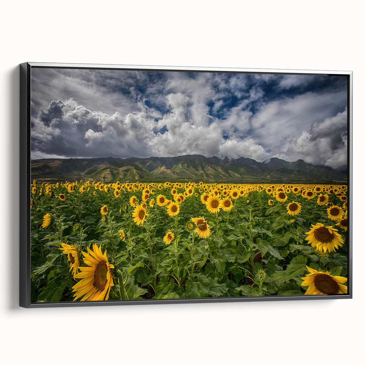 Black and white framed canvas of Maui landscape, featuring vintage poster style, ideal for bedroom wall art.