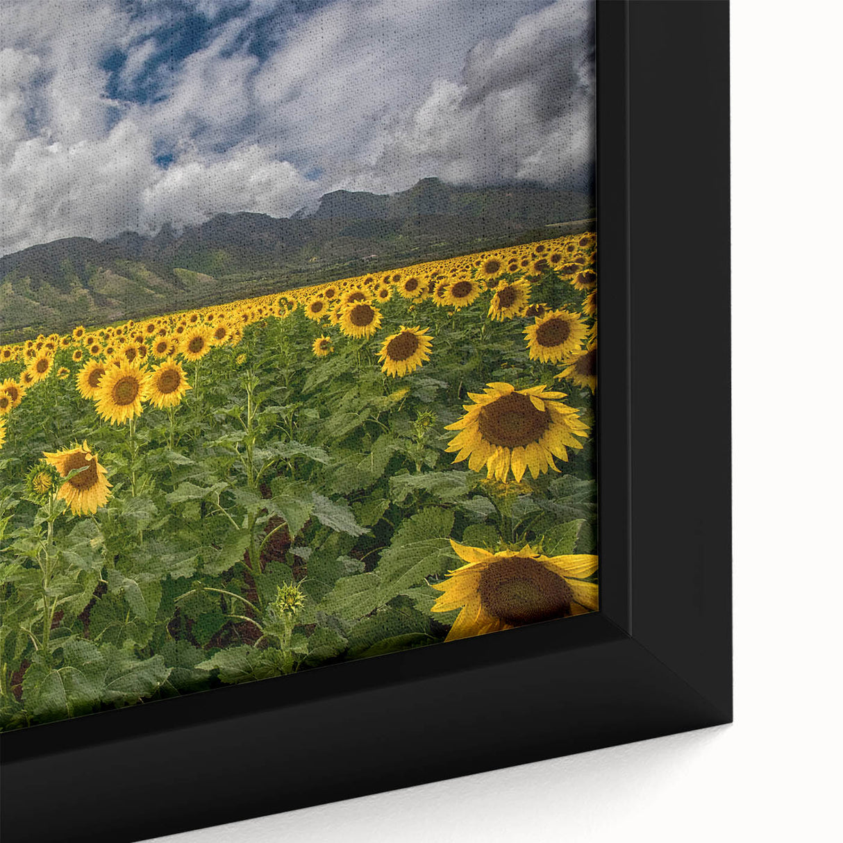 Black wall art depicting a textured Maui scenery in vibrant colors on a framed canvas, ideal for living room decor.
