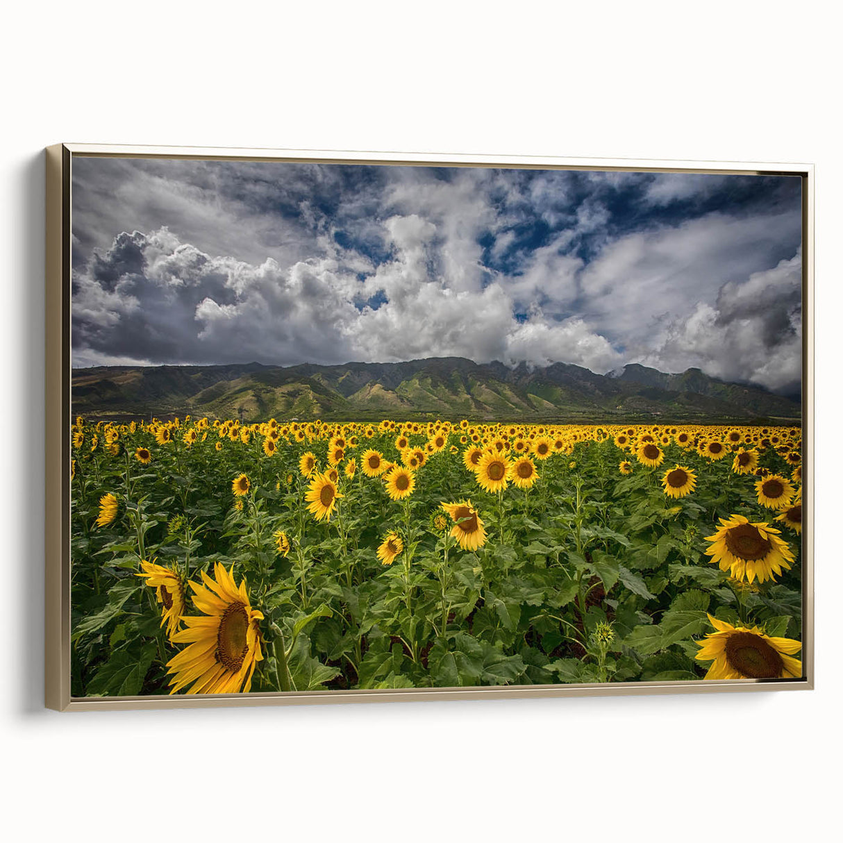 Framed canvas depicting a vintage-style landscape of Maui with a black and gold color scheme, ideal for bedroom wall art.