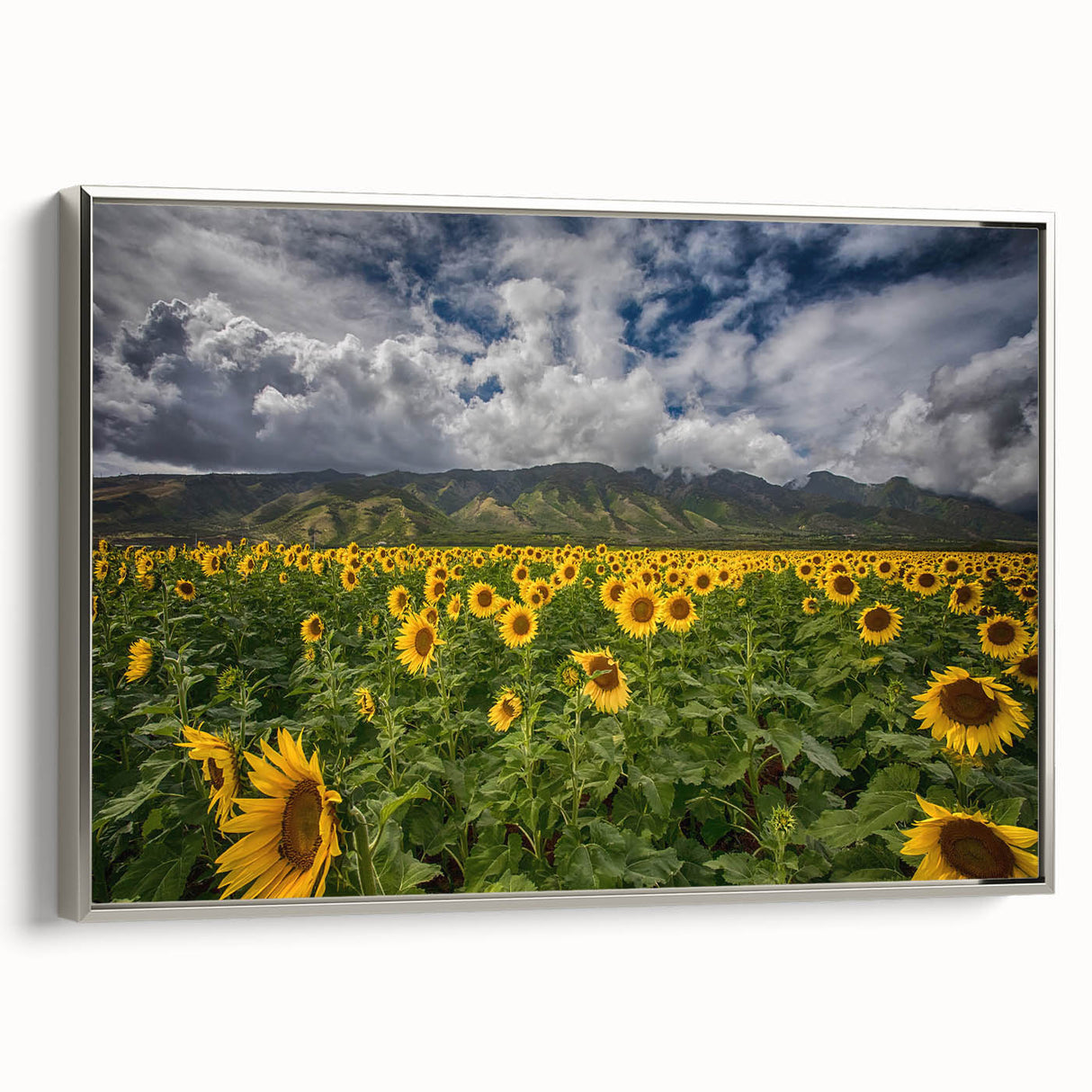 Framed canvas of a vintage poster depicting a colorful Maui landscape, ideal for enhancing a living room or office space.