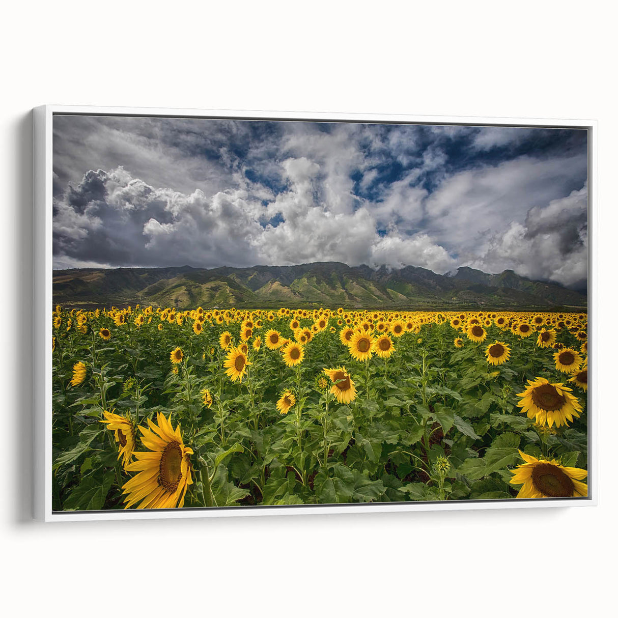 Vintage poster art of a scenic Maui landscape, featuring vibrant colors on a large framed canvas.