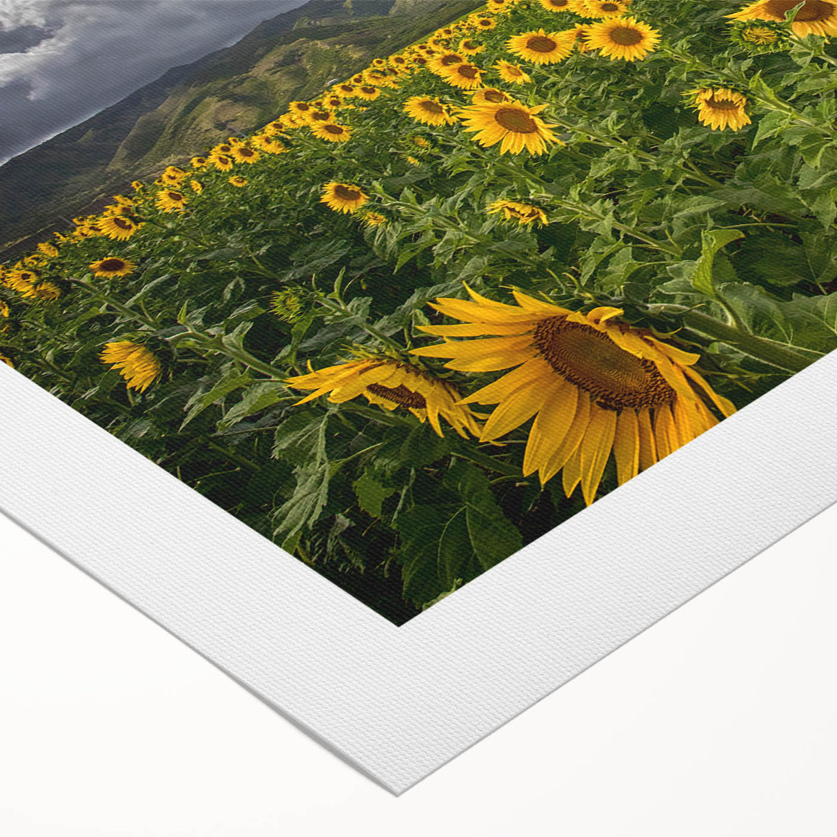 Art deco poster of a Maui landscape in pastel shades on rolled canvas, suitable for dining room wall art.