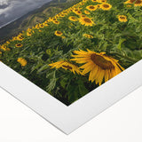 Art deco poster of a Maui landscape in pastel shades on rolled canvas, suitable for dining room wall art.