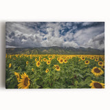 Black and white large art print of Maui scenery on stretched canvas, ideal for kitchen wall art.