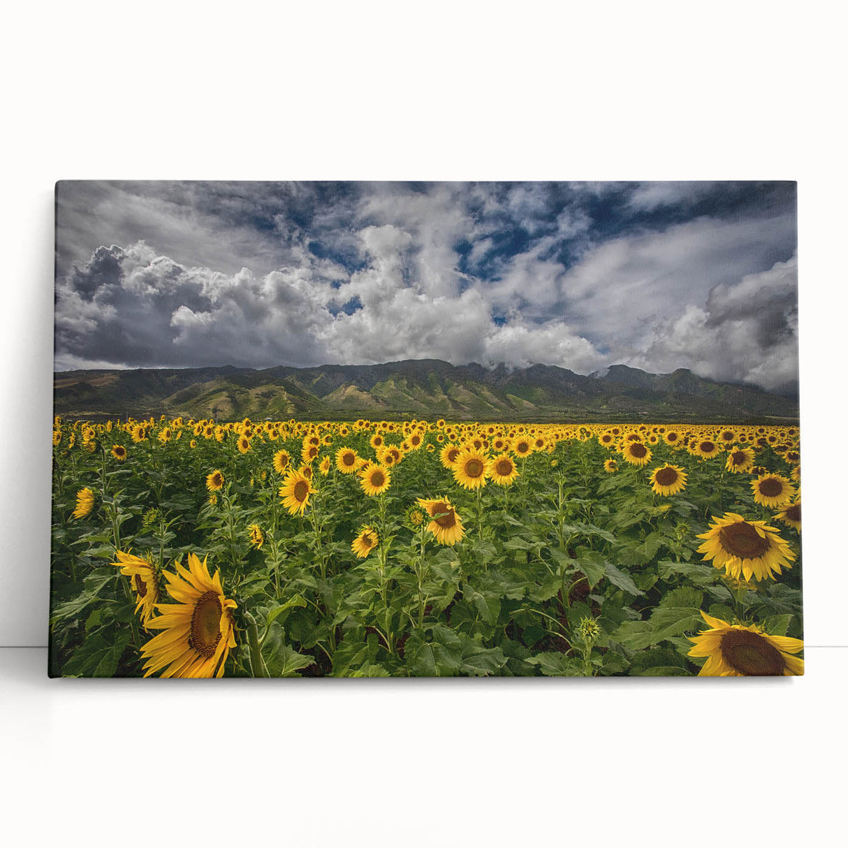 Black and white photograph of Maui scenery on stretched canvas, ideal for kitchen wall art or bedroom ambiance.
