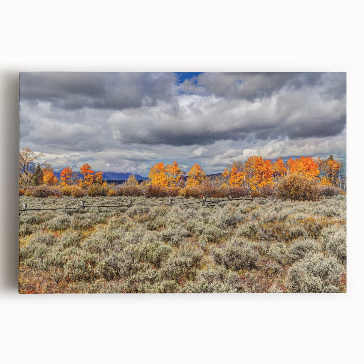 Black and white photo of Idaho scenery on large stretched canvas, suitable for kitchen art.