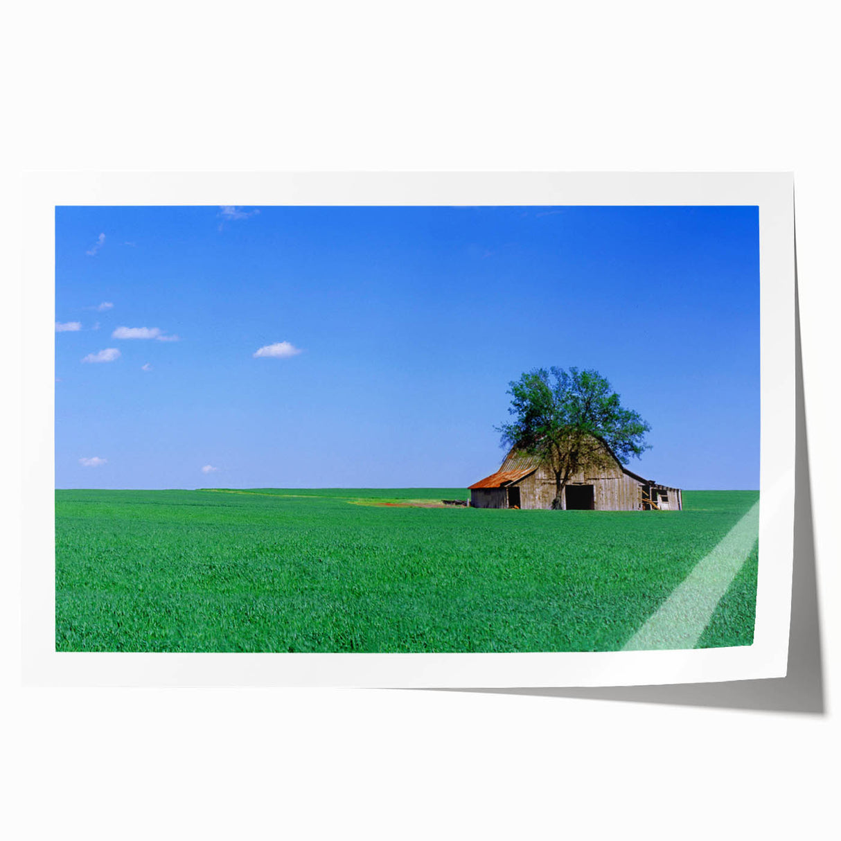 Rolled print of Kentucky scenery with vibrant green and blue hues, ideal for art wall dining room.