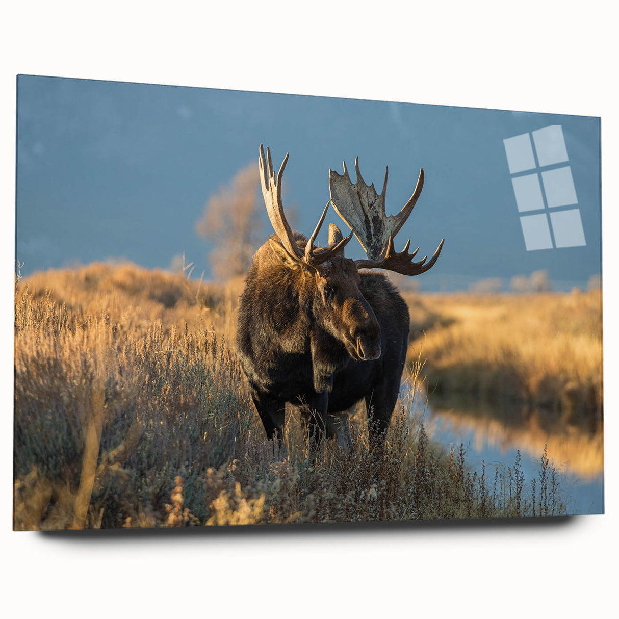 Acrylic print of Yellowstone scenery with vivid green and blue tones, ideal for bedroom or dining room art.