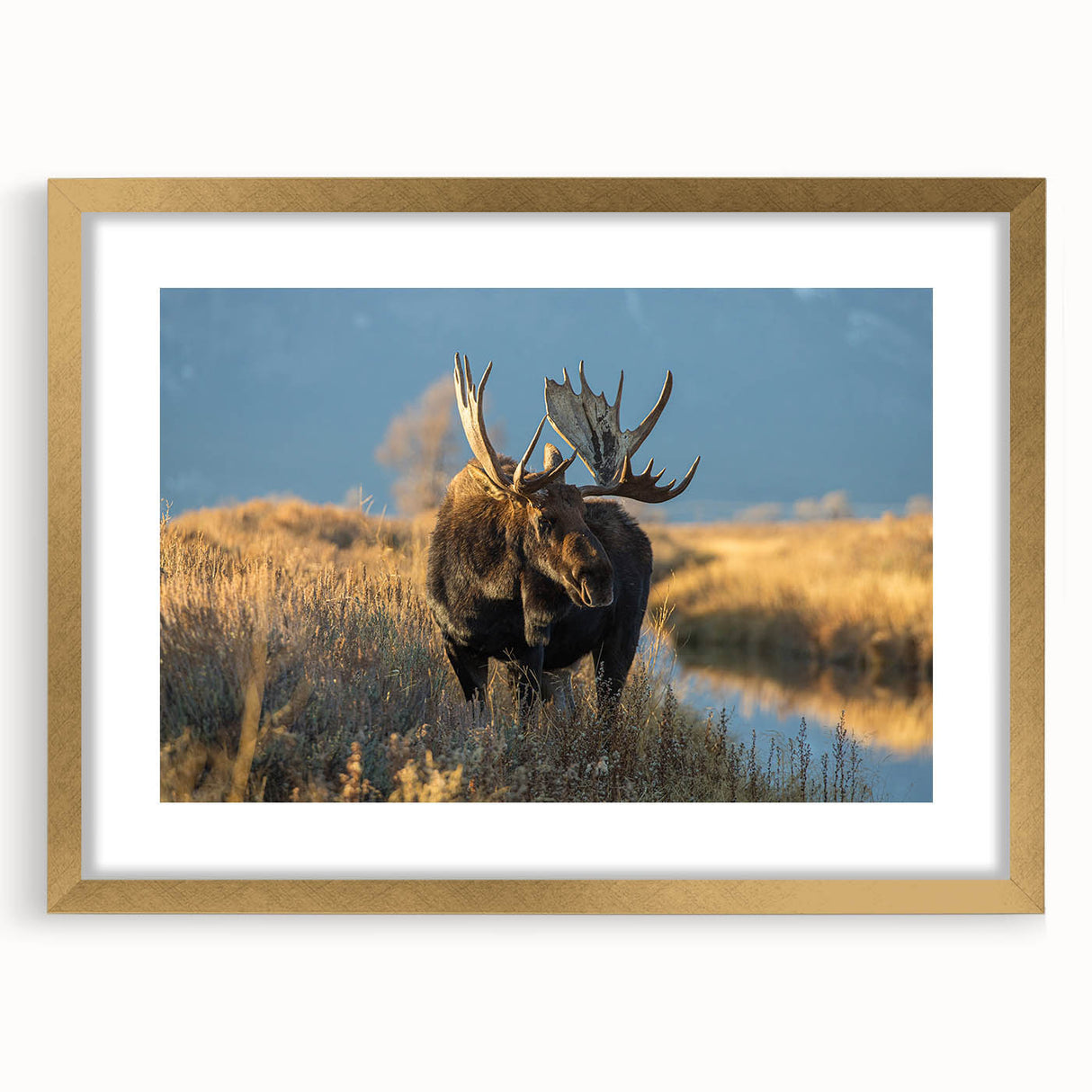 Extra large wall art featuring an abstract depiction of Yellowstone, with textured strokes in earthy tones, framed in gold.