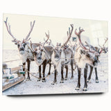 Large abstract wall art on acrylic glass depicting winter season in muted blue and white tones.