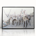 Large abstract wall art depicting a winter scene in cool blue and white tones, framed in black acrylic.