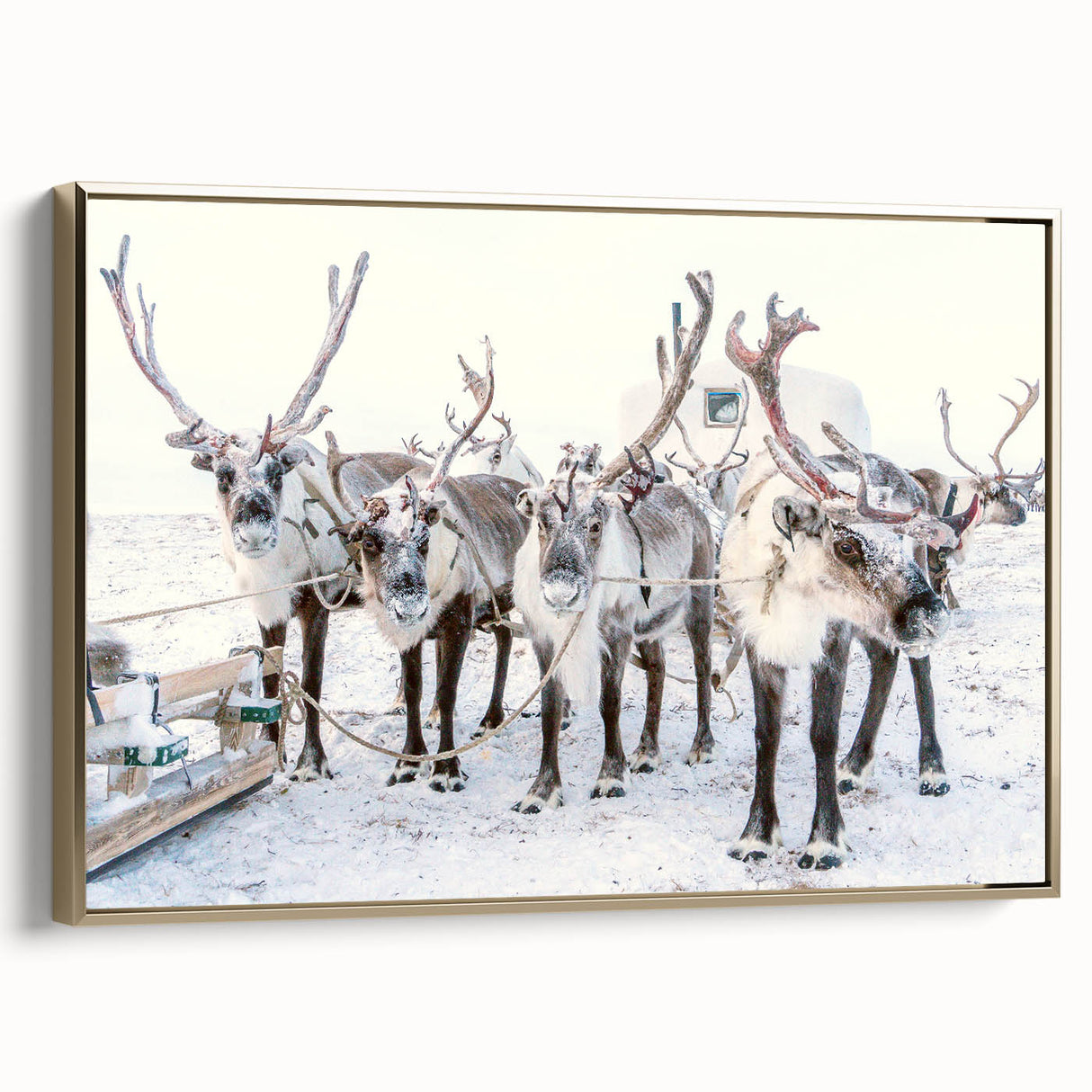 Winter landscape painting on framed canvas, featuring snow-covered trees in muted white and gray tones.