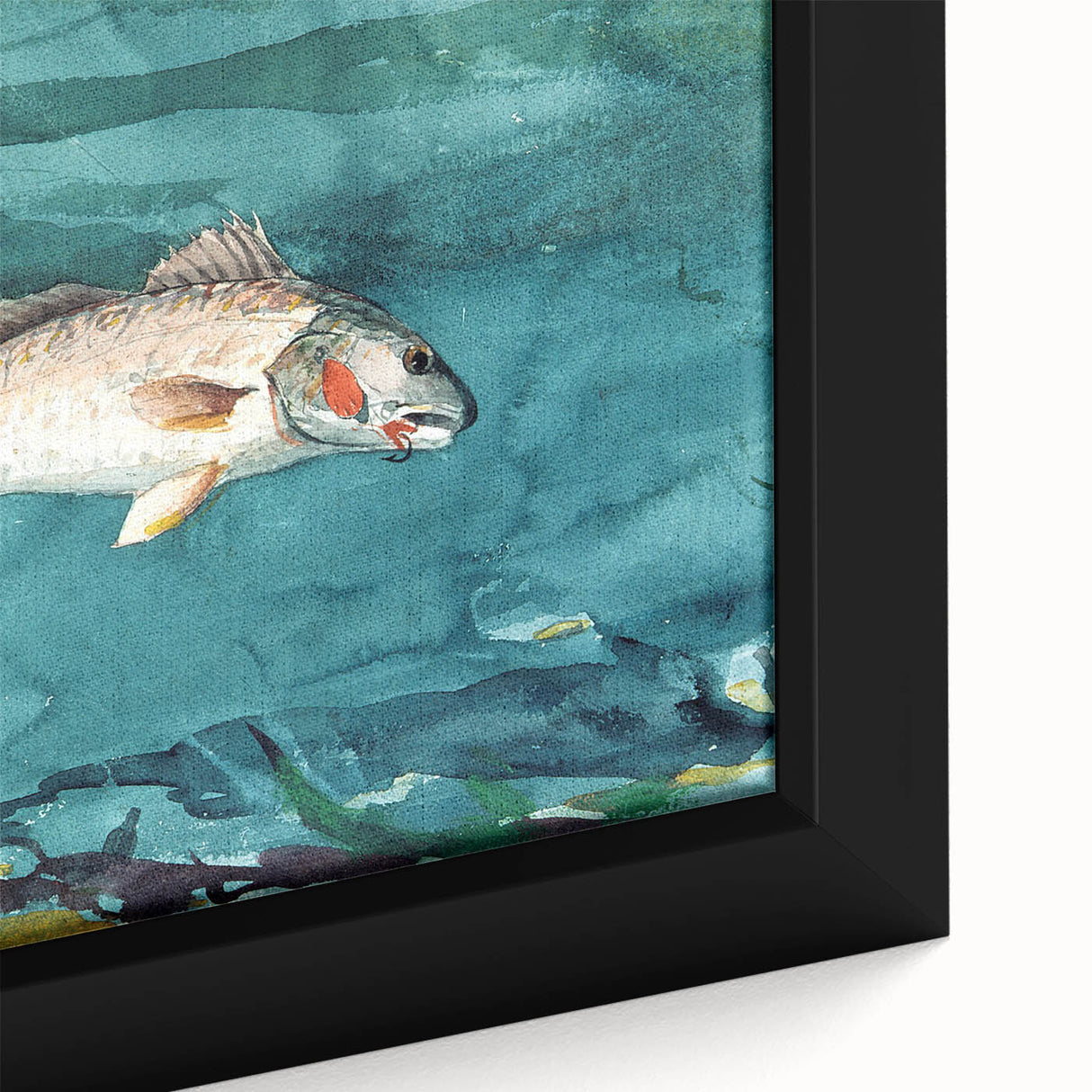 Realism Art Prints - Channel Bass by Winslow Homer Underwater Fish Art