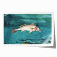 Realism Art Prints - Channel Bass by Winslow Homer Underwater Fish Art