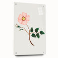 Wild Rose by Mary Altha Nims - Romanticism Botanical Art Print