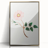 Wild Rose by Mary Altha Nims - Romanticism Botanical Art Print