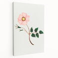 Wild Rose by Mary Altha Nims - Romanticism Botanical Art Print