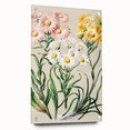 Realism Art Prints - Classical Realism Floral Art on Canvas and Acrylic