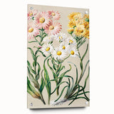 Realism Art Prints - Classical Realism Floral Art on Canvas and Acrylic
