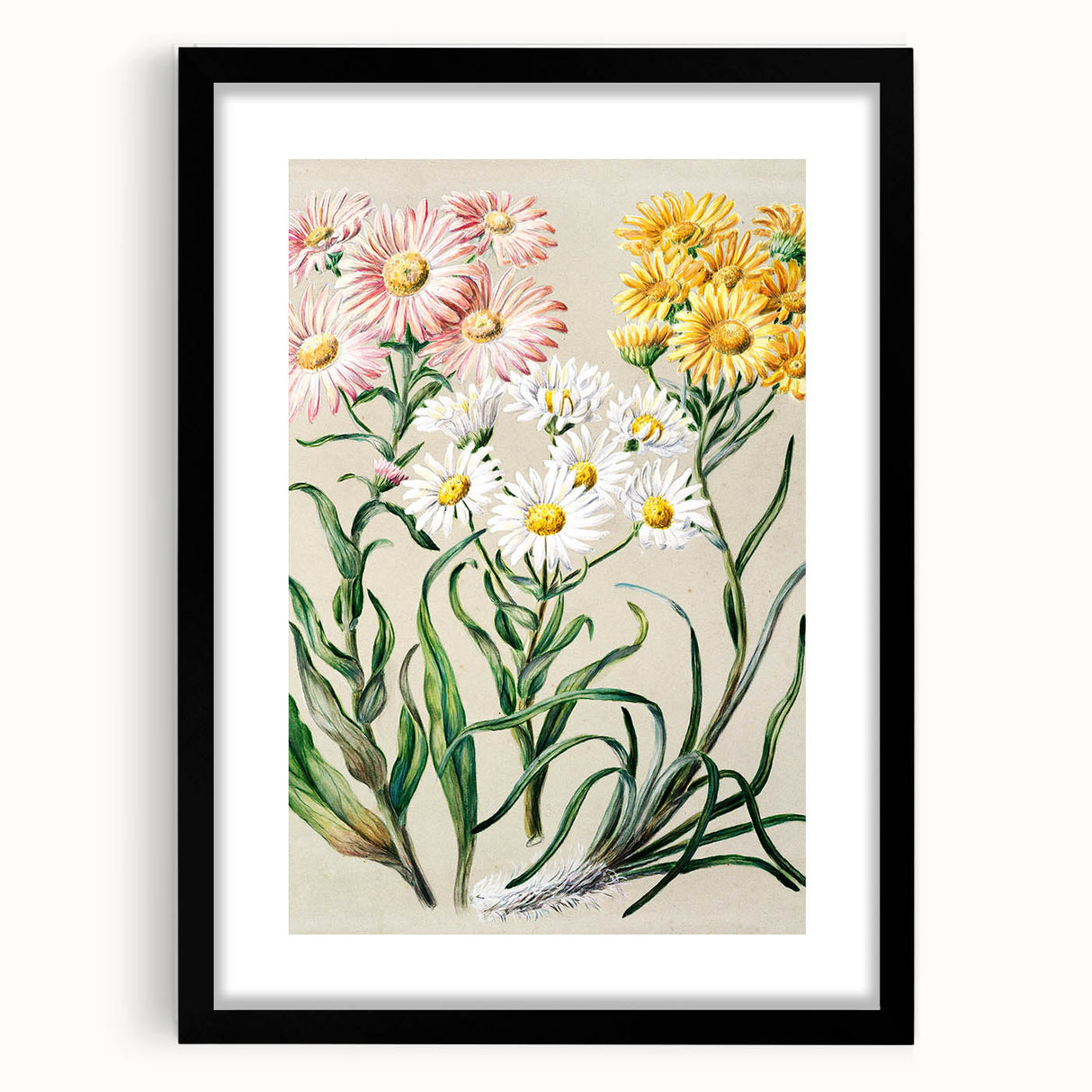 Realism Art Prints - Classical Realism Floral Art on Canvas and Acrylic