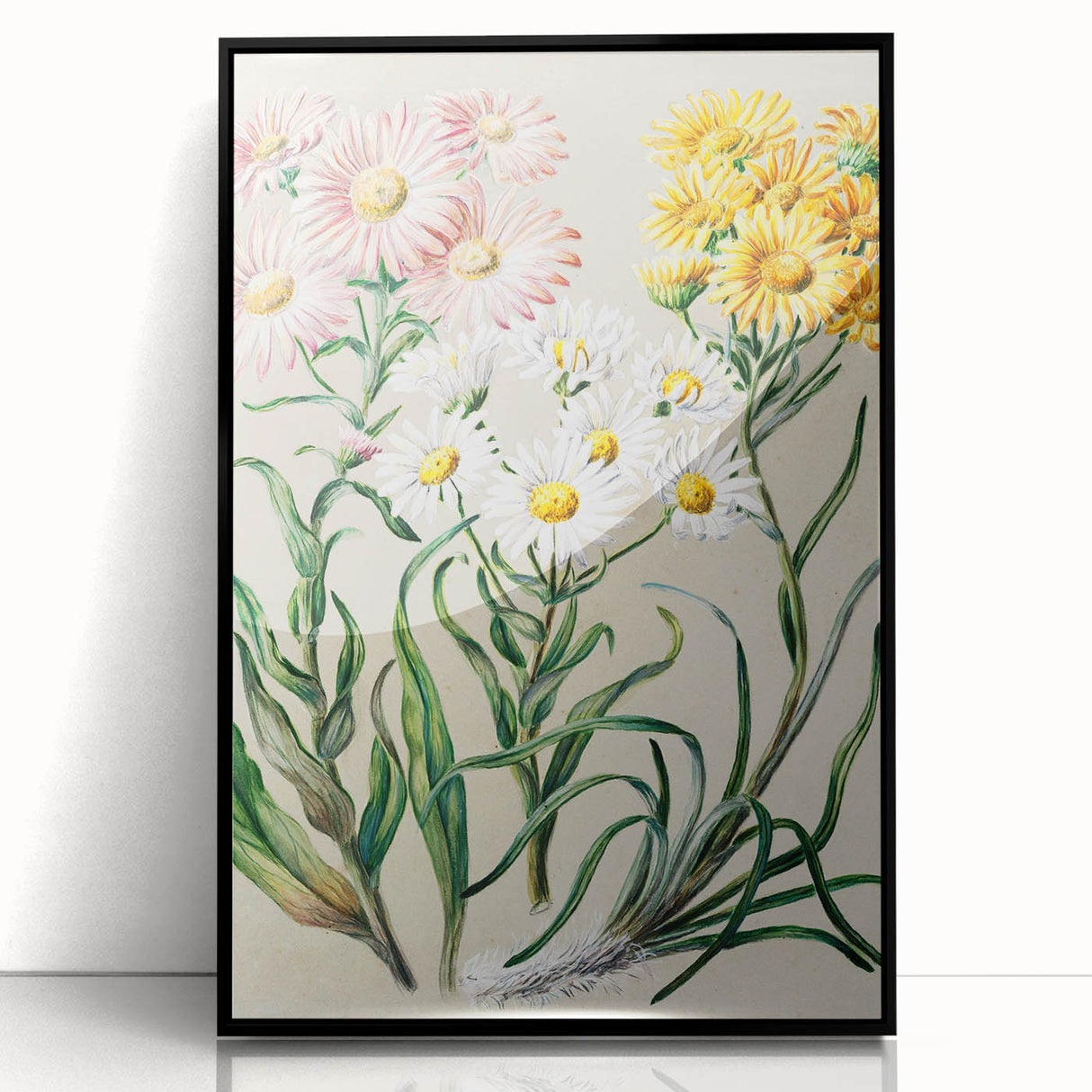 Realism Art Prints - Classical Realism Floral Art on Canvas and Acrylic