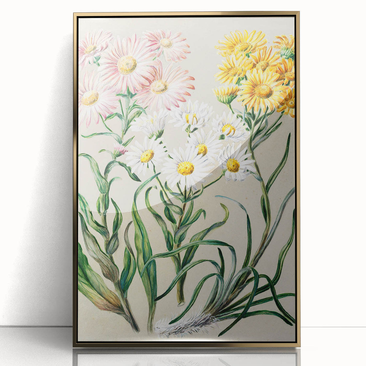 Realism Art Prints - Classical Realism Floral Art on Canvas and Acrylic
