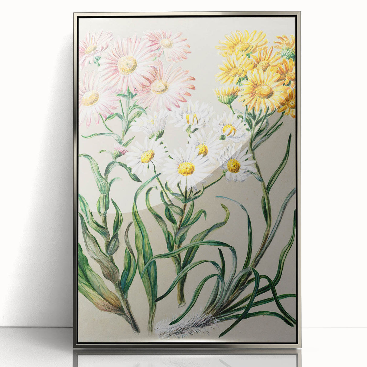 Realism Art Prints - Classical Realism Floral Art on Canvas and Acrylic