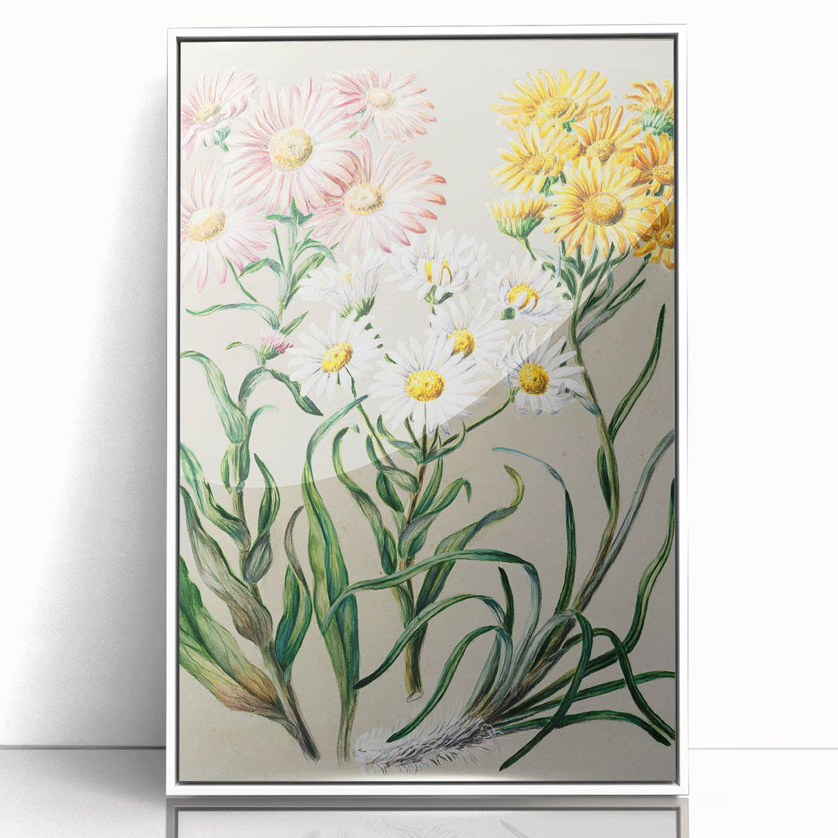 Realism Art Prints - Classical Realism Floral Art on Canvas and Acrylic