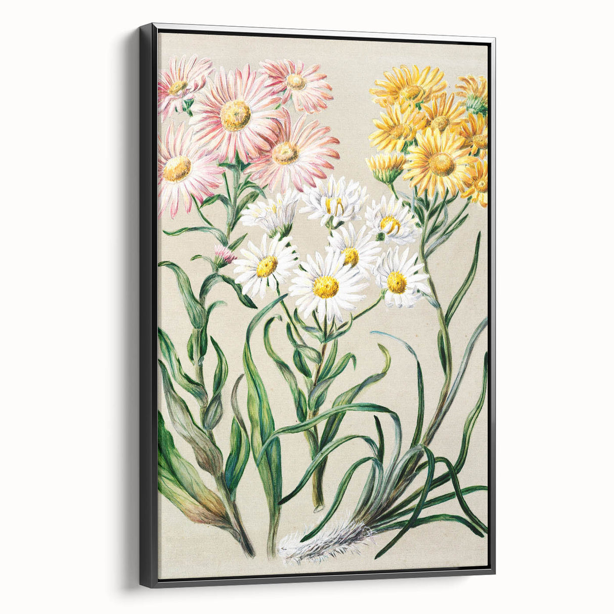 Realism Art Prints - Classical Realism Floral Art on Canvas and Acrylic