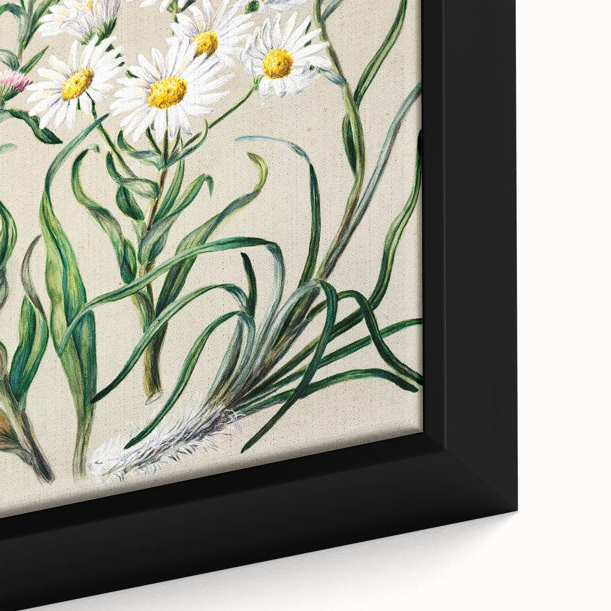 Realism Art Prints - Classical Realism Floral Art on Canvas and Acrylic