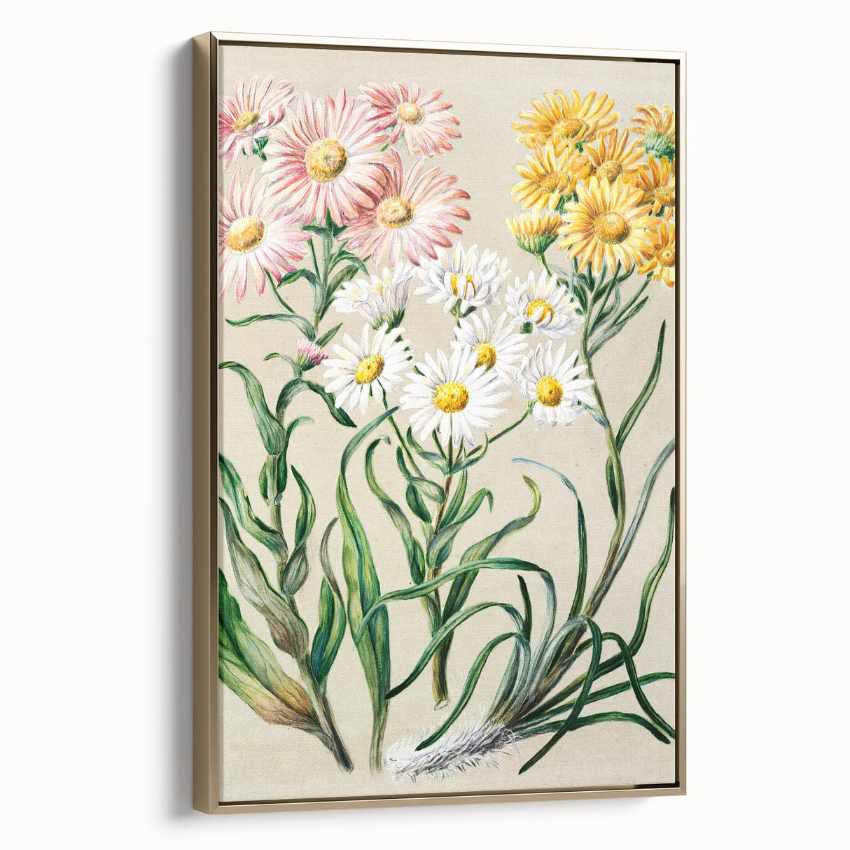 Realism Art Prints - Classical Realism Floral Art on Canvas and Acrylic