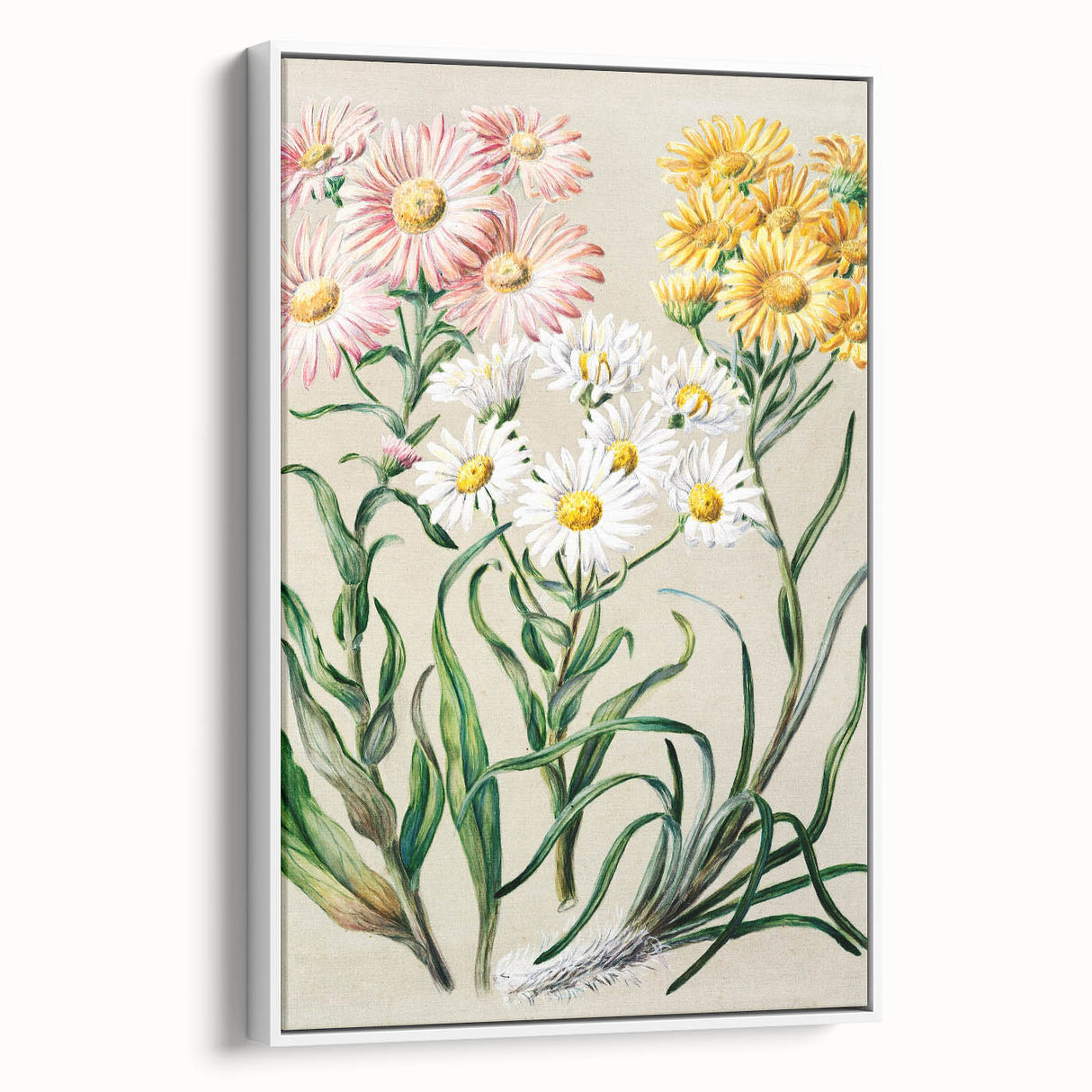 Realism Art Prints - Classical Realism Floral Art on Canvas and Acrylic