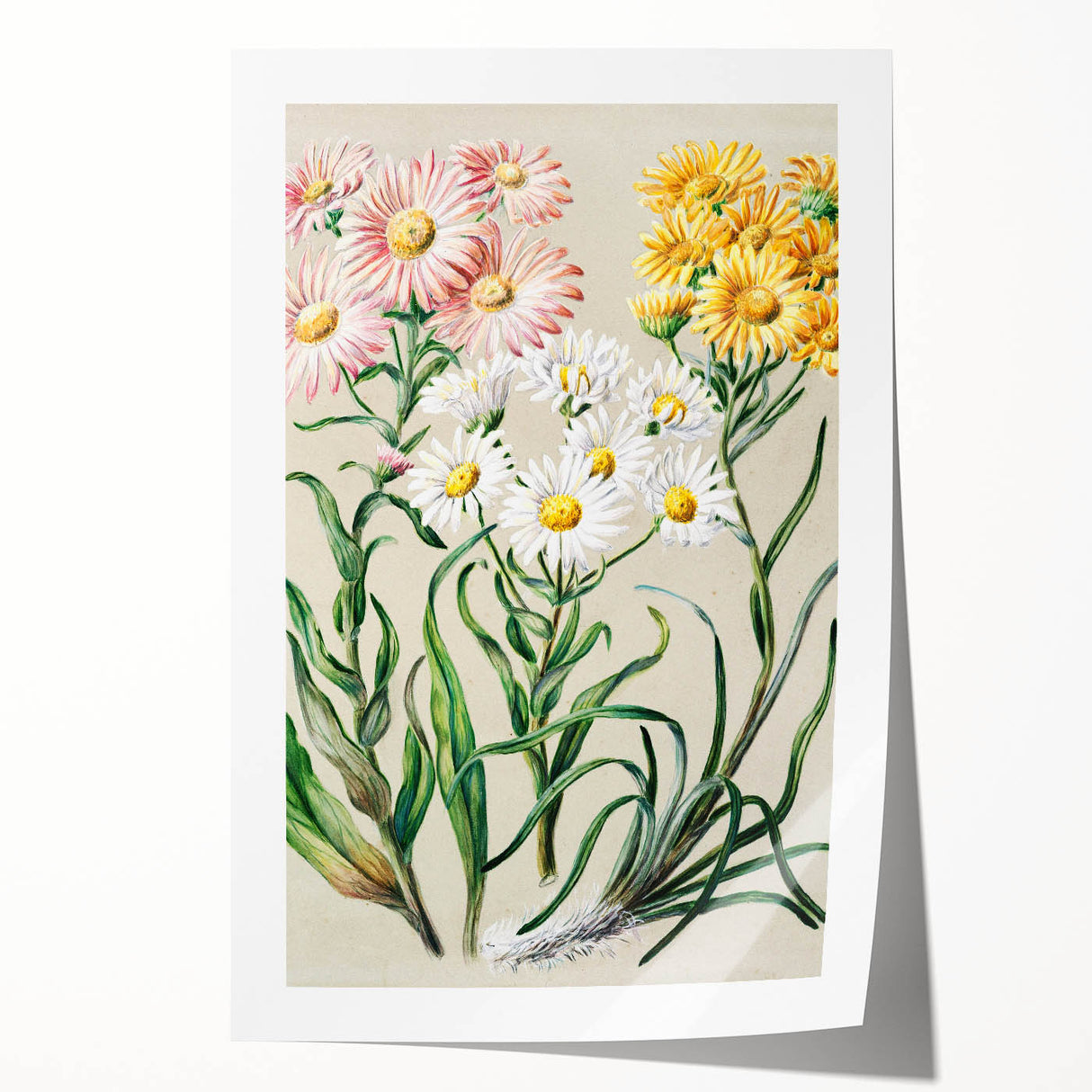 Realism Art Prints - Classical Realism Floral Art on Canvas and Acrylic