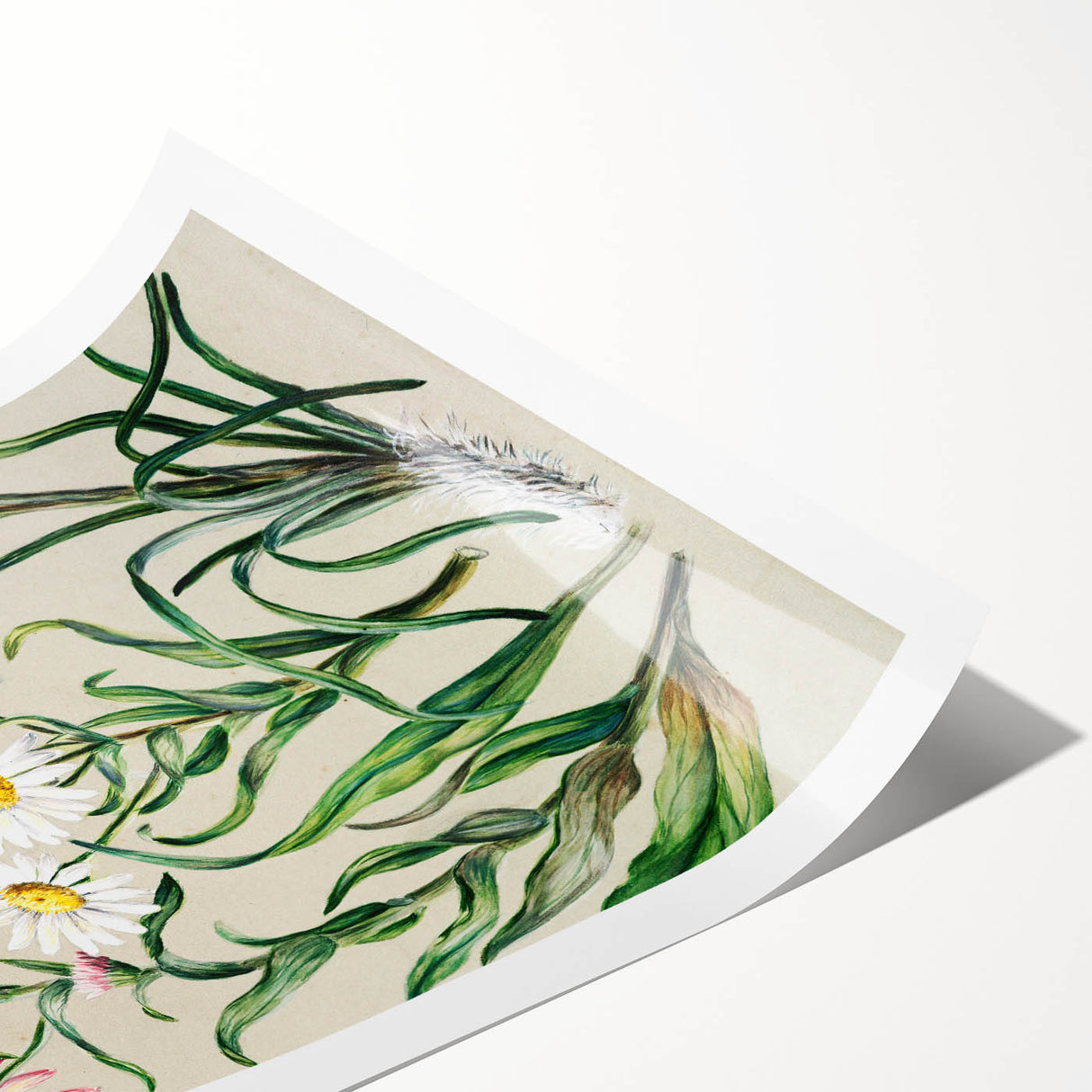 Realism Art Prints - Classical Realism Floral Art on Canvas and Acrylic