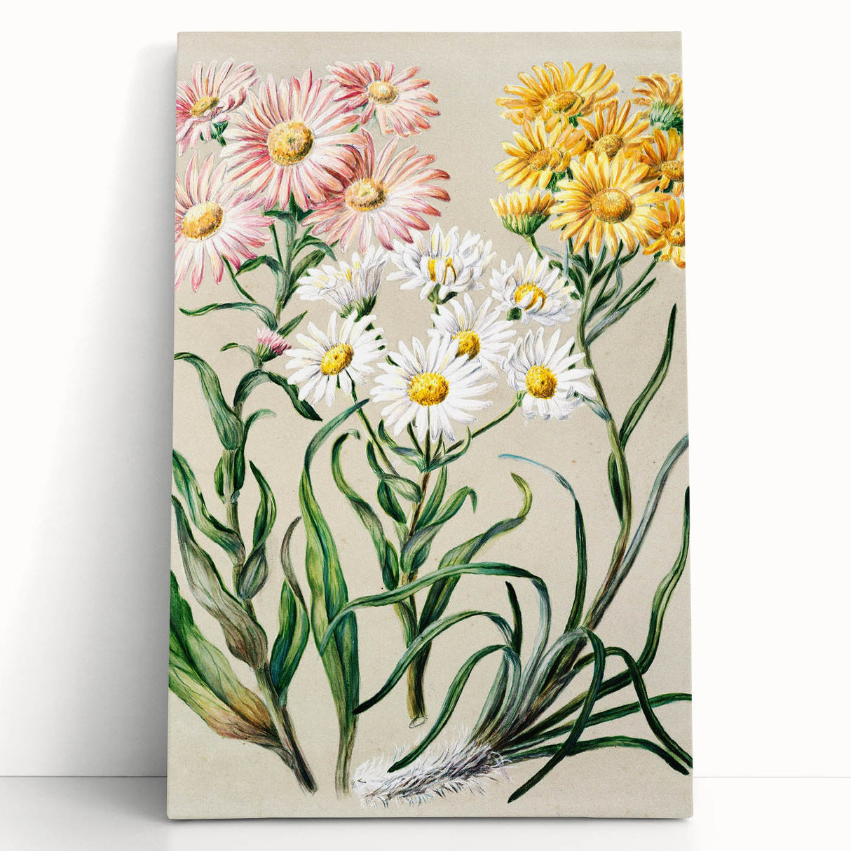 Realism Art Prints - Classical Realism Floral Art on Canvas and Acrylic