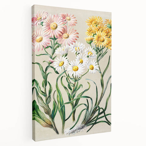 Realism Art Prints - Classical Realism Floral Art on Canvas and Acrylic