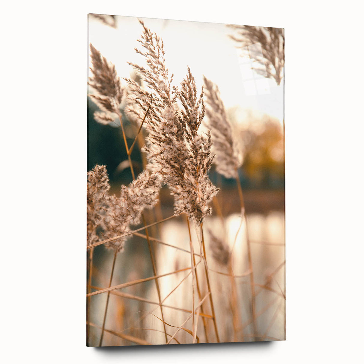 Large abstract wall art in vibrant summer hues on acrylic glass, ideal for bedroom or dining room decor.