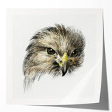 Head of a Bird of Prey by Jean Bernard - Romantic Wildlife Art Print
