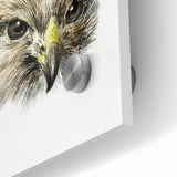 Head of a Bird of Prey by Jean Bernard - Romantic Wildlife Art Print