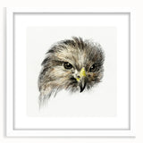 Head of a Bird of Prey by Jean Bernard - Romantic Wildlife Art Print