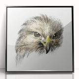 Head of a Bird of Prey by Jean Bernard - Romantic Wildlife Art Print