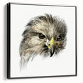 Head of a Bird of Prey by Jean Bernard - Romantic Wildlife Art Print